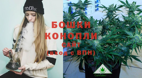 не бодяженный Ельня