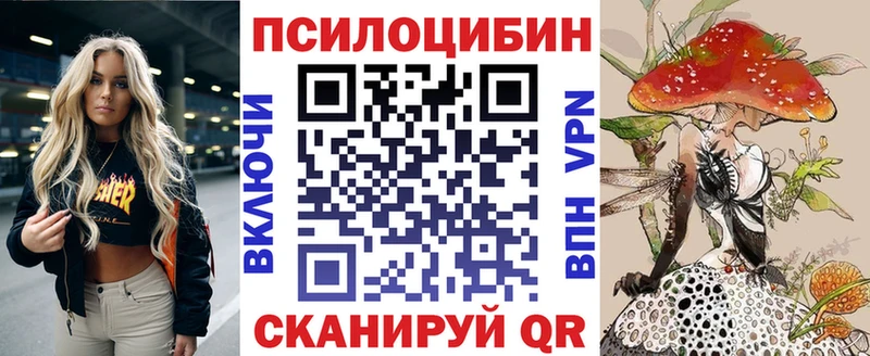 Купить  Обоянь  Галлюциногенные грибы Cubensis 